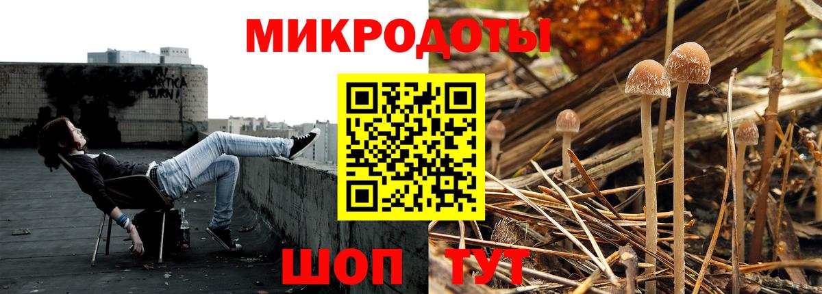 Галлюциногенные грибы прущие грибы Губаха