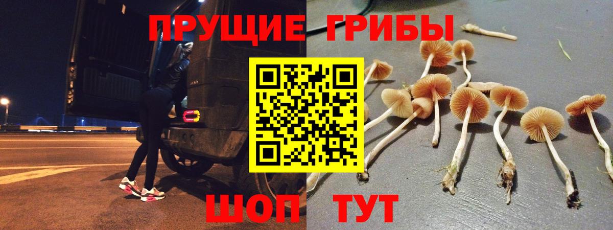 как найти закладки  Галлюциногенные грибы прущие грибы  Губаха  Вход с VPN  Псилоцибиновые грибы ЛСД 